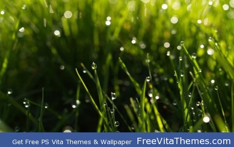 Greeny wet grass PS Vita Wallpaper