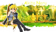 Download Akita Neru PS Vita Wallpaper