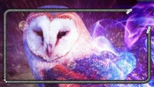 Download Owl in flame zip lockscreen PS Vita Wallpaper