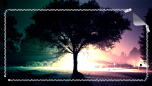 Download Tree PS Vita Wallpaper
