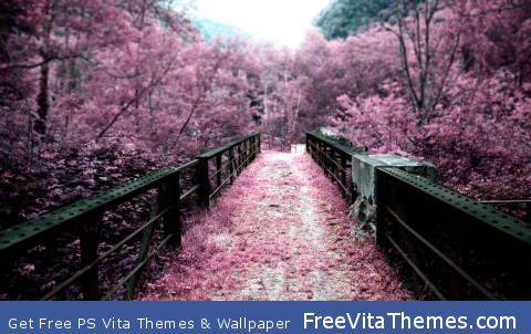 Japan Path Of Sakura Flowers PS Vita Wallpaper