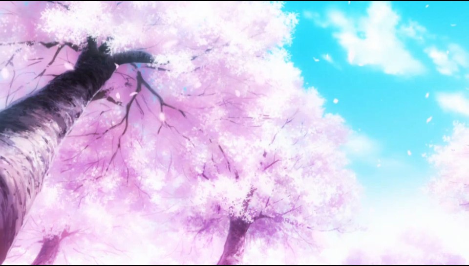 sakura bloom featuring Nature, With Buttons, Highschool DxD, Title - Perfect PS Vita Wallpaper