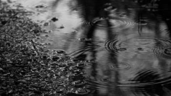 B&amp;W Water puddle featuring Nature, B&amp;W Water puddle - Perfect PS Vita Wallpaper