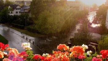 Balcony flowers featuring Nature, Balcony flowers - Perfect PS Vita Wallpaper