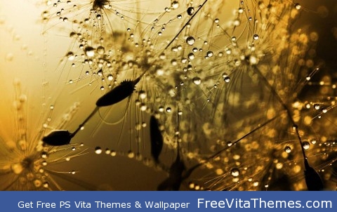 Rainy screen PS Vita Wallpaper