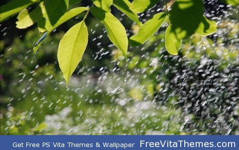 Green rain leaves PS Vita Wallpaper