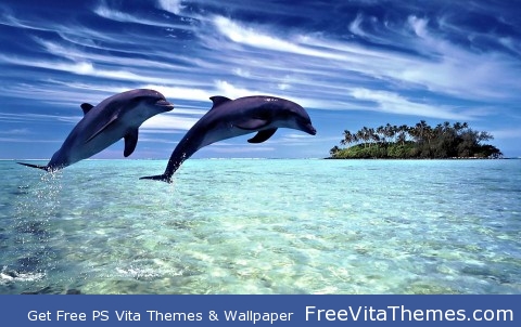 Dolphins diving PS Vita Wallpaper