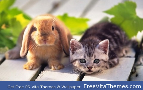 Rabbit, Kitten and Vita PS Vita Wallpaper
