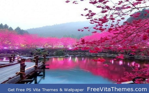 Cherry Blossom PS Vita Wallpaper