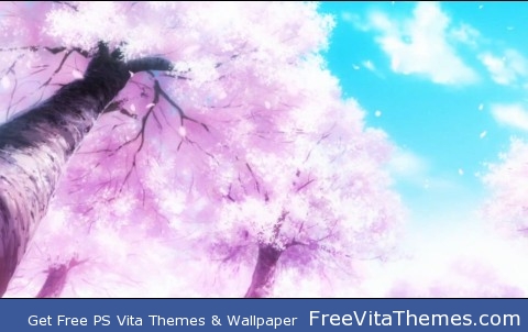 sakura bloom PS Vita Wallpaper